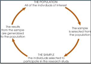 <p>group of individuals selected to represent the population as usually populations are too large to examine the entire group</p>