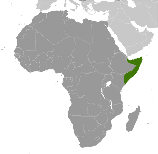 <p>Somalia</p>