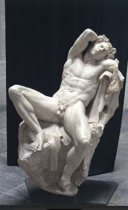 term image