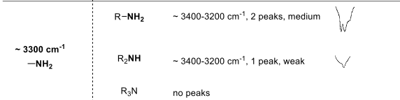 <p>secondary amine</p>