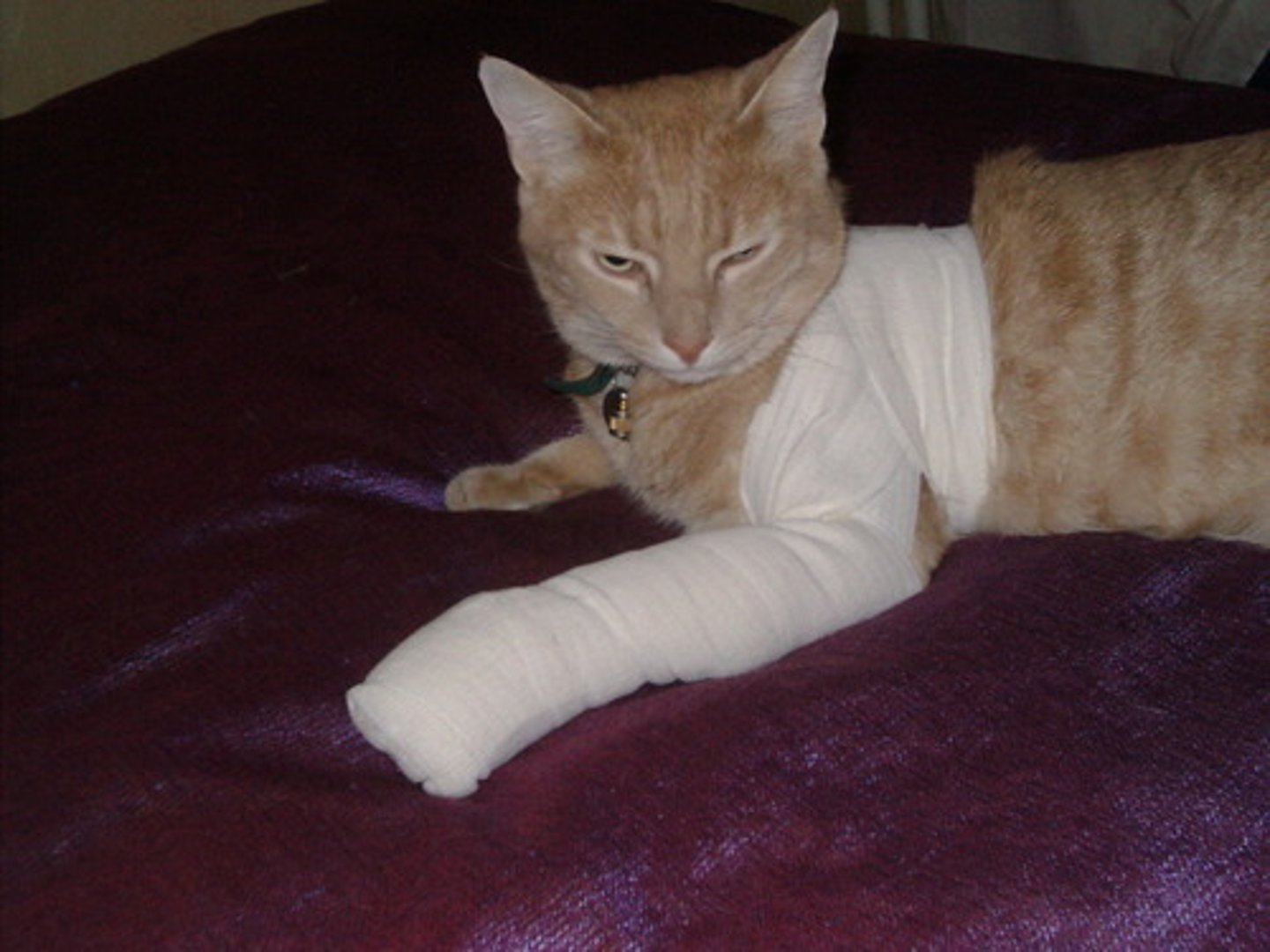 <p>bandaged</p>