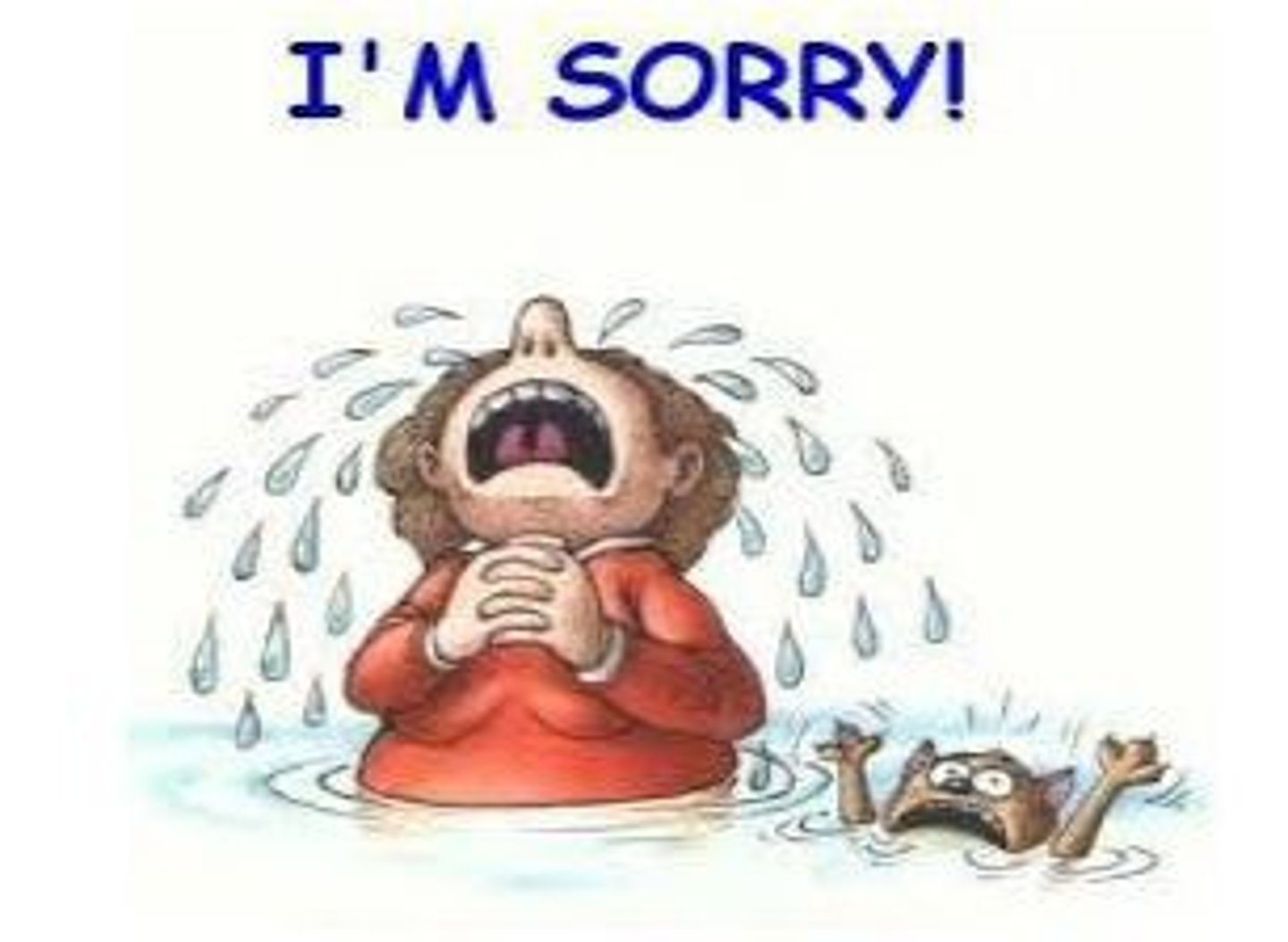 <p>to apologize</p>