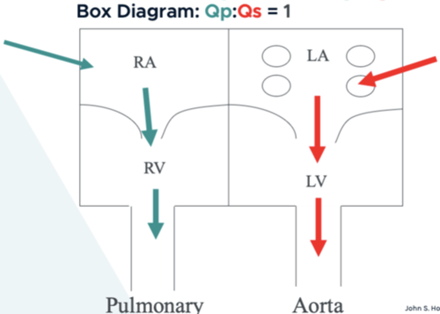 <p>pulmonary:systemic</p><p>Qp:Qs = 1</p>