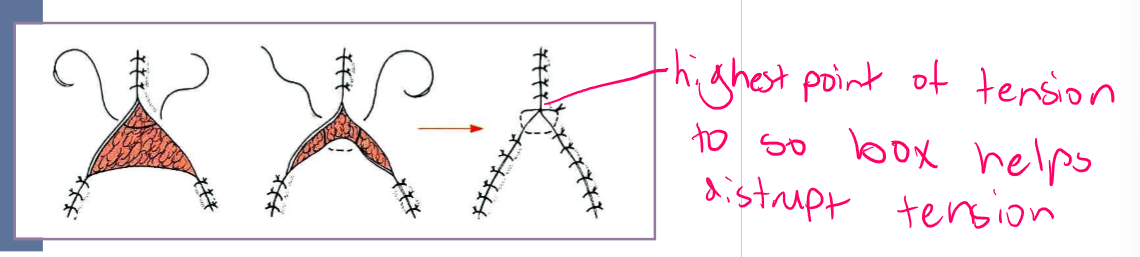 <p>triangular defects in skin </p>