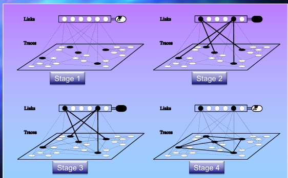 <p>stage 1</p><ul><li><p>informatie komt trace binnen, bijna geen acetylcholine aanwezig (wordt aangemaakt)</p></li></ul><p></p><p>stage 2</p><ul><li><p>connecties tussen link en trace vormen, oiv acetylcholine </p></li></ul><p></p><p>stage 3</p><ul><li><p>links vormen tussen trace </p></li></ul><p></p><p>stage 4</p><ul><li><p>links tussen trace en link verdwijnen langzaam, acetylcholine verdwijnt ook </p></li></ul><p></p><p></p>