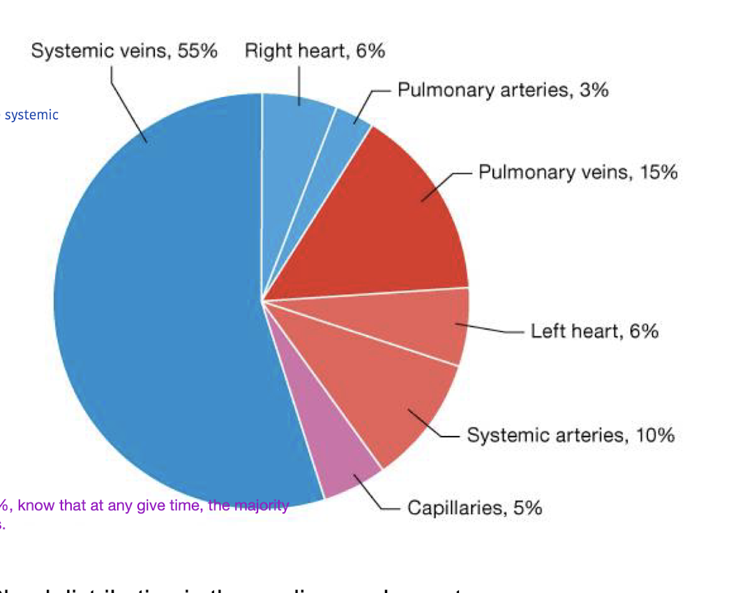 at any given time, the majority of blood is in the systemic veins 
