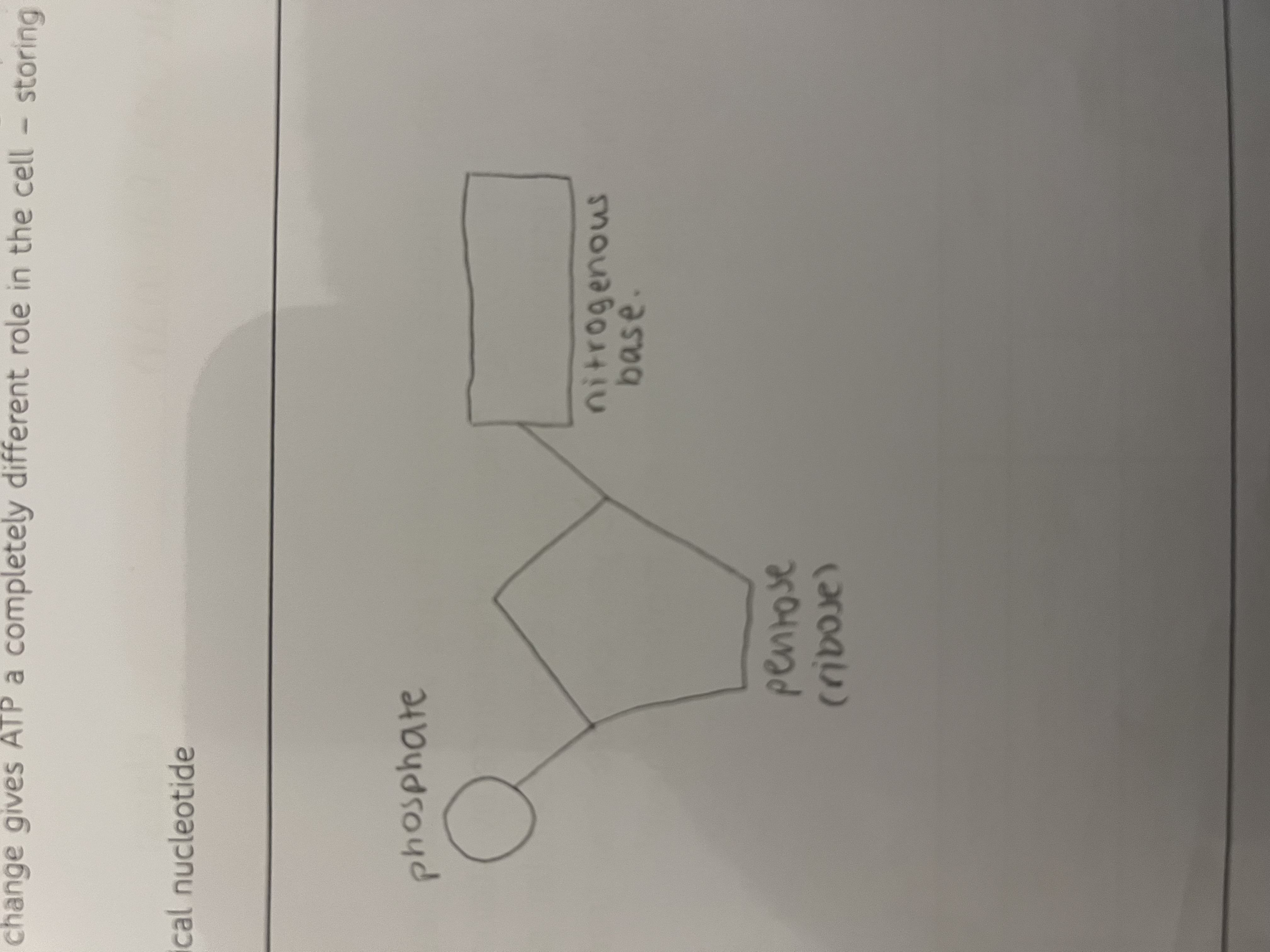 knowt flashcard image