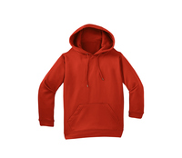 <p><span style="color: rgb(29, 42, 87)">/</span><span>ˈhʊd.i</span><span style="color: rgb(29, 42, 87)">/</span></p>