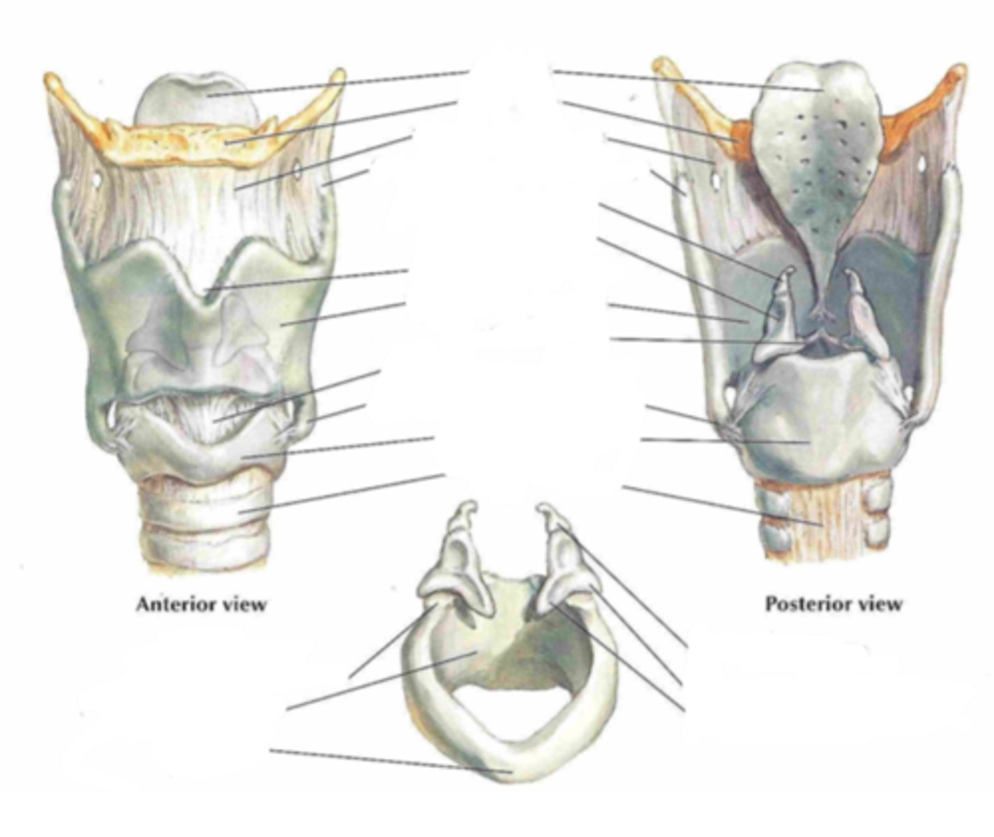 <p>Identify the structure</p>