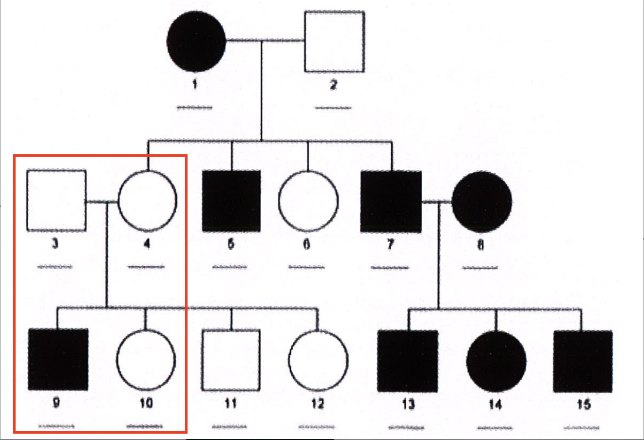<p>Di truyền lặn trên NST X</p><ul data-type="taskList"><li data-checked="true" data-type="taskItem"><label><input type="checkbox" checked="checked"><span></span></label><div><p>Ô đỏ: </p><ul data-type="taskList"><li data-checked="true" data-type="taskItem"><label><input type="checkbox" checked="checked"><span></span></label><div><p>Trội thường: aa x aa</p></div></li><li data-checked="true" data-type="taskItem"><label><input type="checkbox" checked="checked"><span></span></label><div><p>Trội X: X<sup>a</sup>X<sup>a</sup> x X<sup>a</sup>Y </p></div></li><li data-checked="true" data-type="taskItem"><label><input type="checkbox" checked="checked"><span></span></label><div><p>Sinh con không thể bị bệnh</p></div></li></ul></div></li><li data-checked="true" data-type="taskItem"><label><input type="checkbox" checked="checked"><span></span></label><div><p><strong>Thế hệ I</strong>: số 1 x số 2 <span data-name="arrow_right" data-type="emoji">➡</span> only con trai bị bệnh</p></div></li></ul><p>(Sách trang 65)</p>