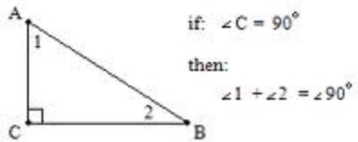 <p>The acute angles of a right triangle are complementary</p>