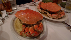 <p>a crab</p>