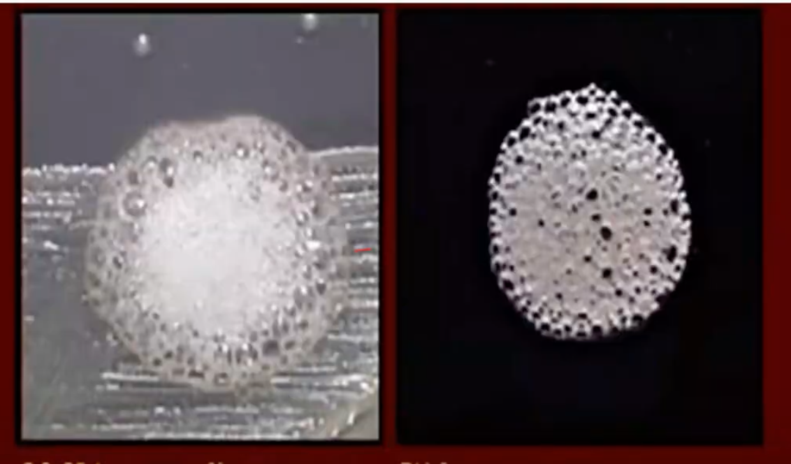 <p>Superoxol / Catalase Test  uses <strong><em>30% H2O2  </em></strong>with a <span style="color: red"><strong><em>(+) result:  vigorous bubbling</em></strong></span></p>