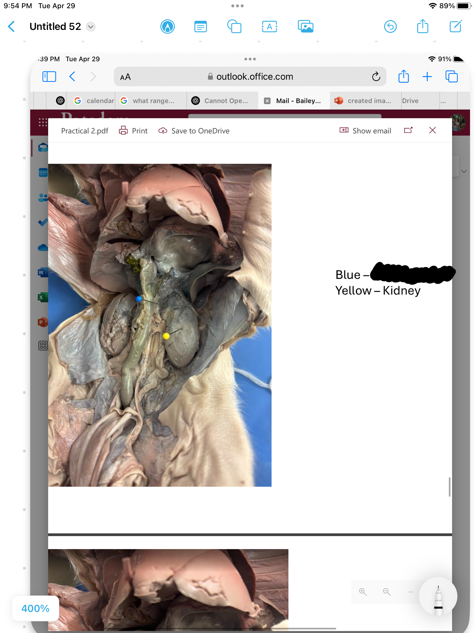 <p>label the area</p>