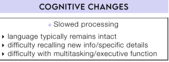 <p>Slowed processing</p><ul><li><p>language typically remains intact</p></li><li><p>difficulty recalling new info/specific details</p></li><li><p>difficulty with multitasking/executive funtion</p></li></ul><p></p>