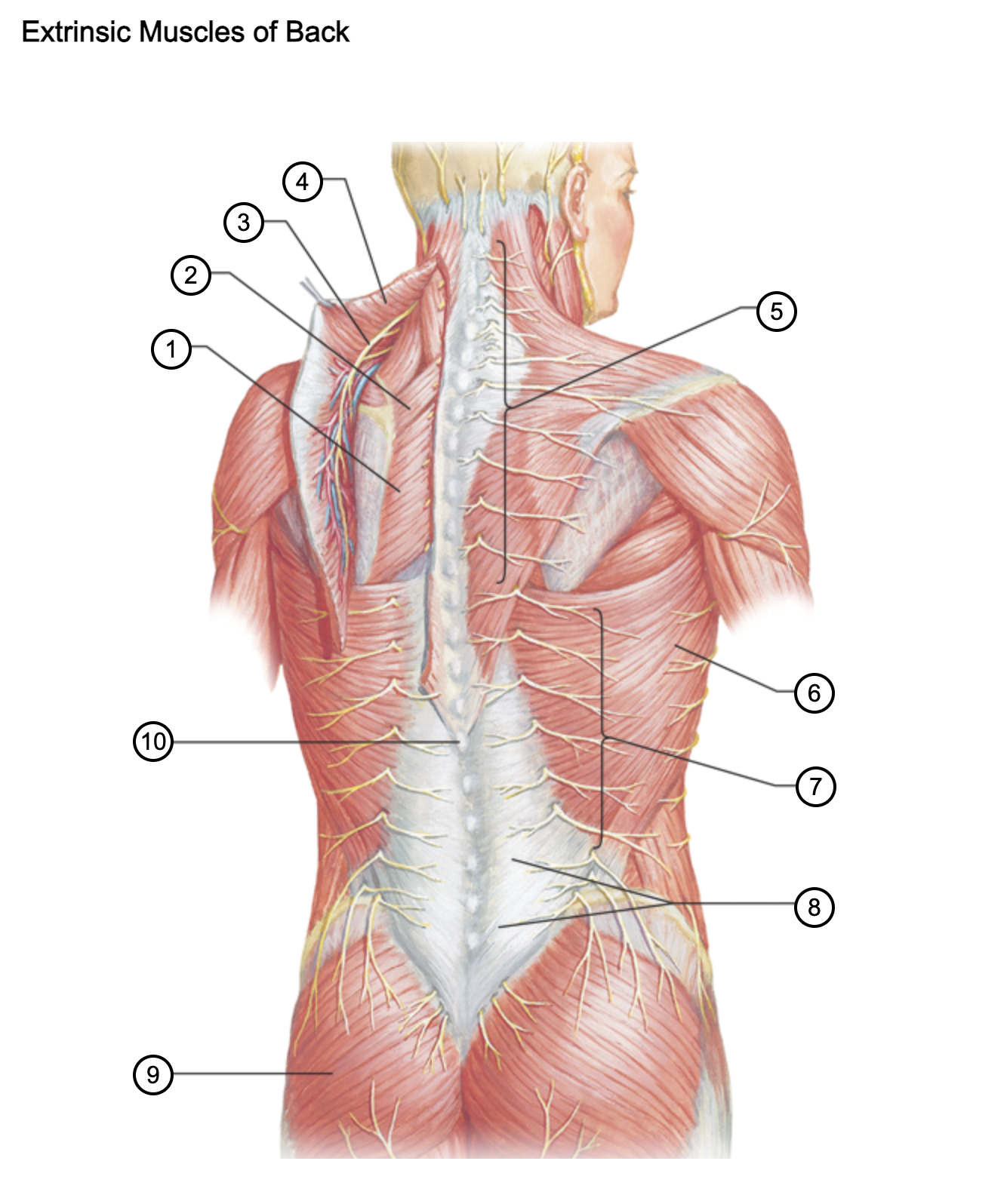 <p>5</p>