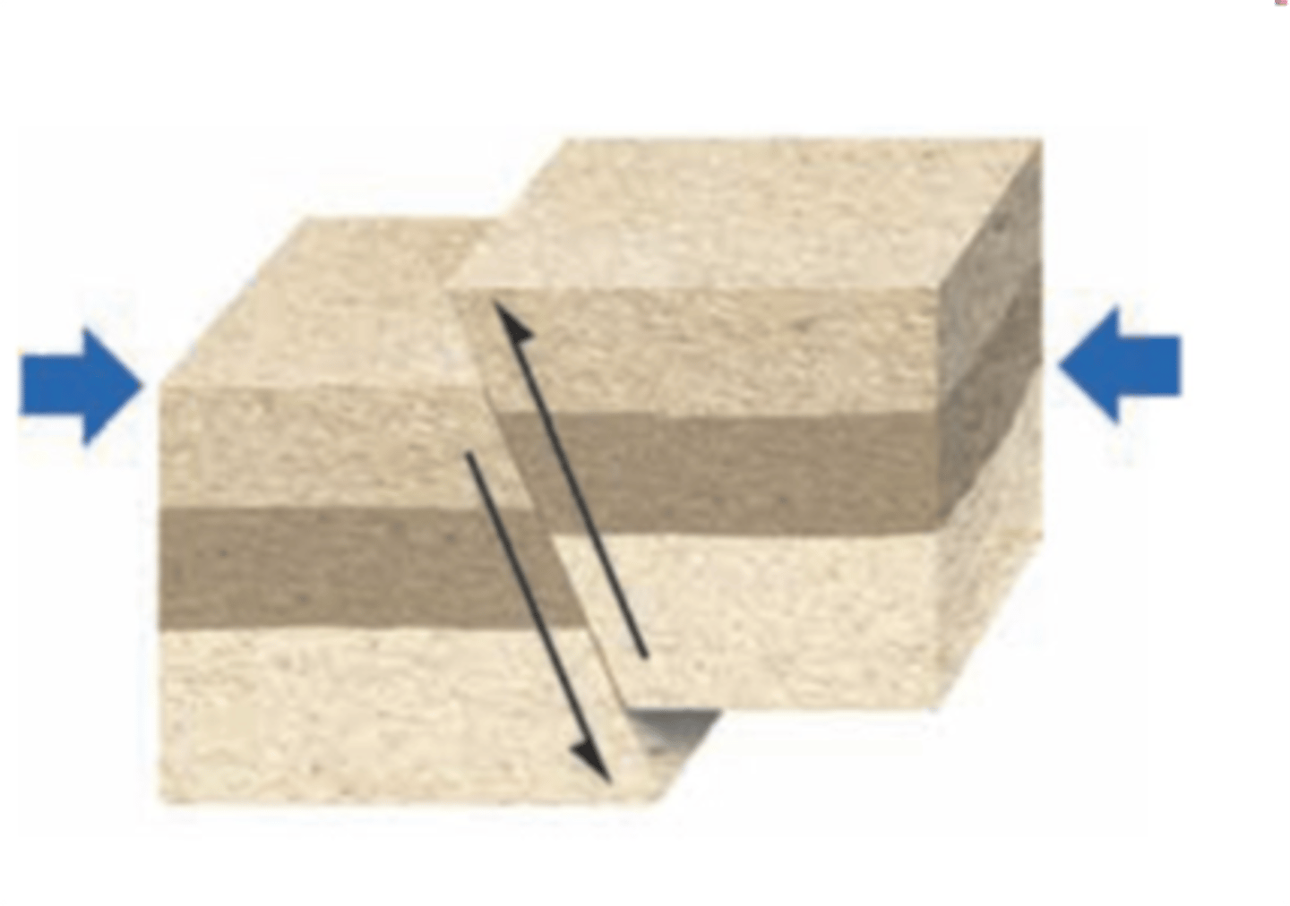 <p>(vt.)逆轉，扭轉，徹底改變</p>