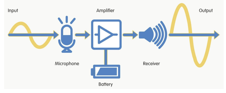 <ul><li><p><strong>Amplify sound from microphone</strong> and deliver to speaker in the ear </p></li><li><p>Frequencies amplified can be tailored</p></li></ul><p></p>