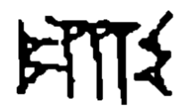 term image