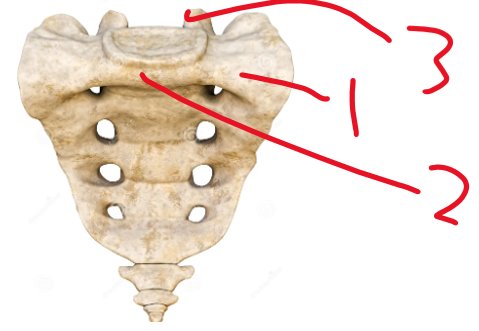 <p><span>Name structure 2</span></p>