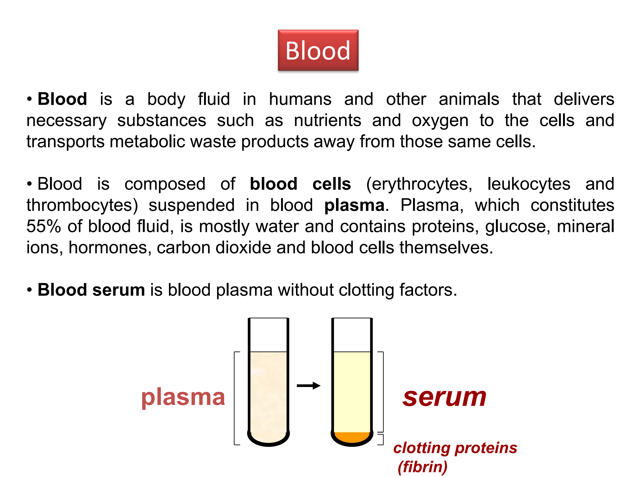 <p>Blood serum</p>