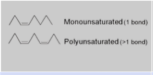 <ul><li><p>triglycerides liquid at room temperatures</p></li><li><p>relatively low melting points</p></li><li><p>usually unsaturated fatty </p></li><li><p>plants (and fish) use oils as an energy store</p></li></ul><p></p>