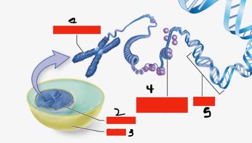 <p>Label the parts </p>