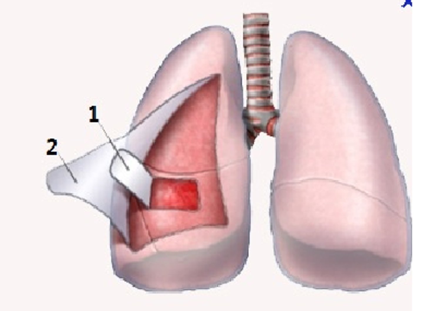 <p>1</p>