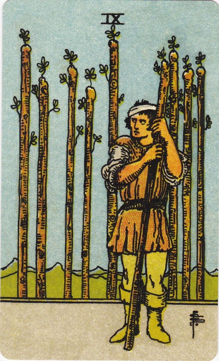<p>9 🔥</p>