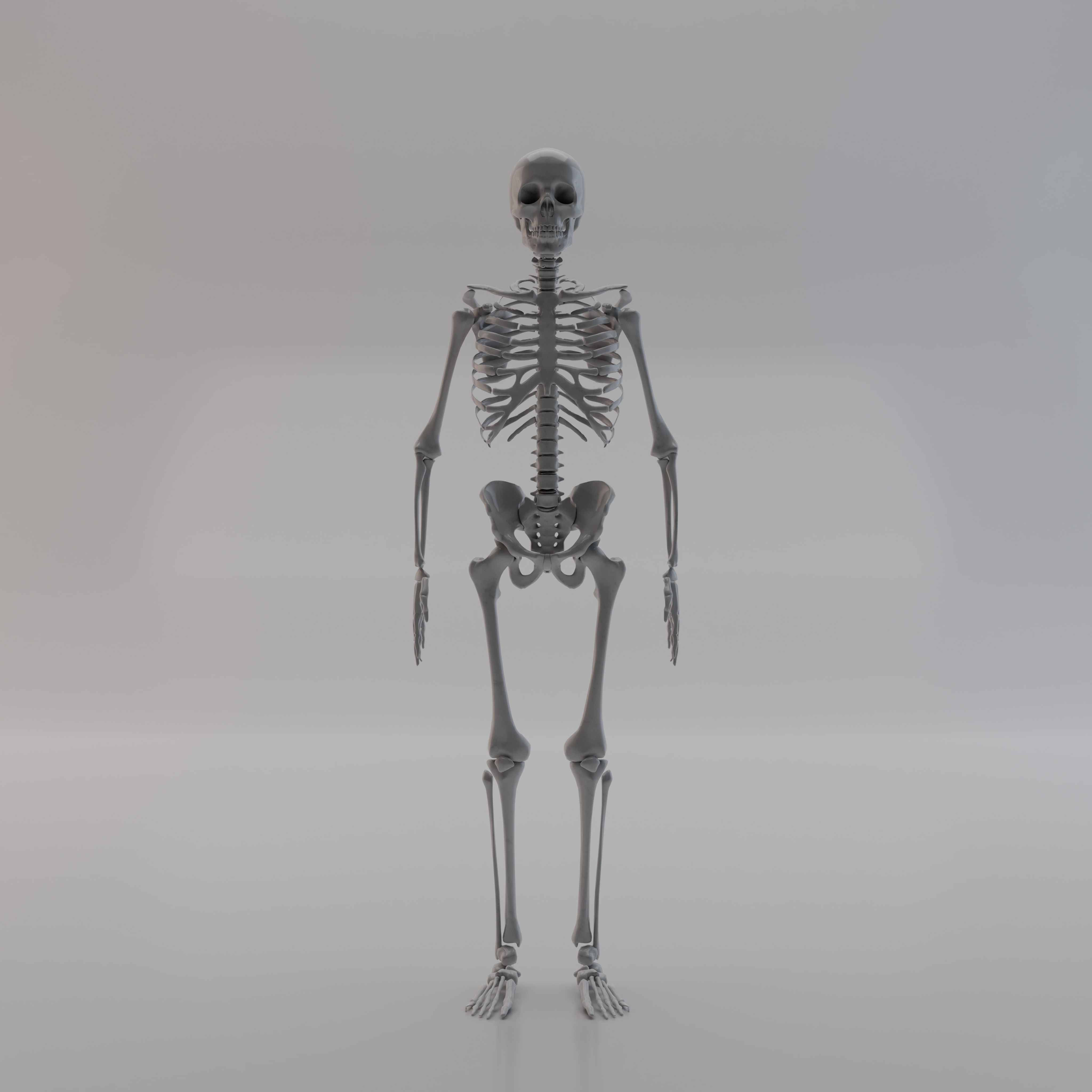 Skeletas