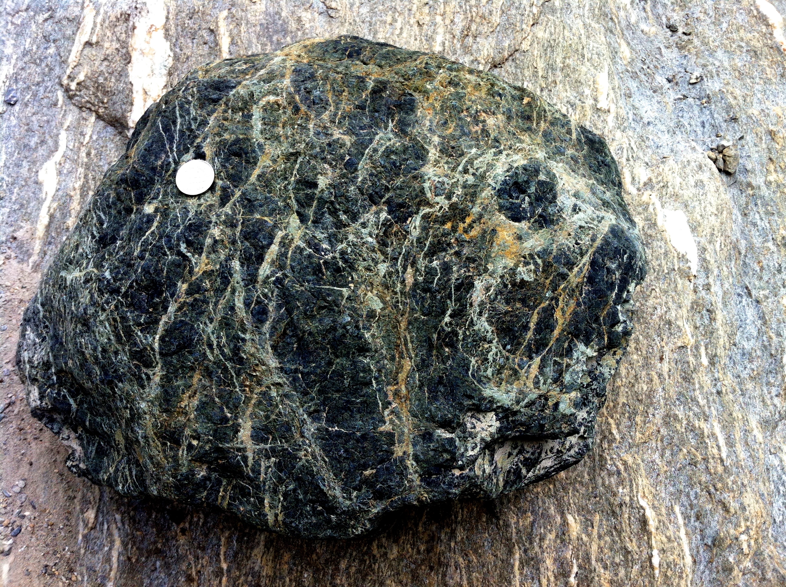 <p>Identify the metamorphic rock</p>