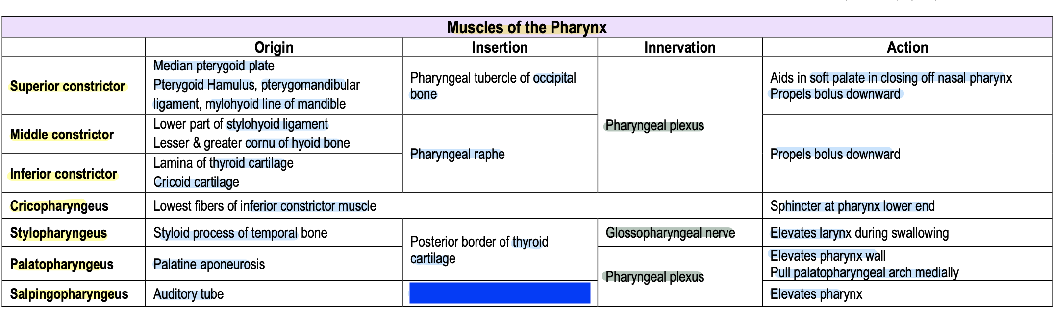 knowt flashcard image