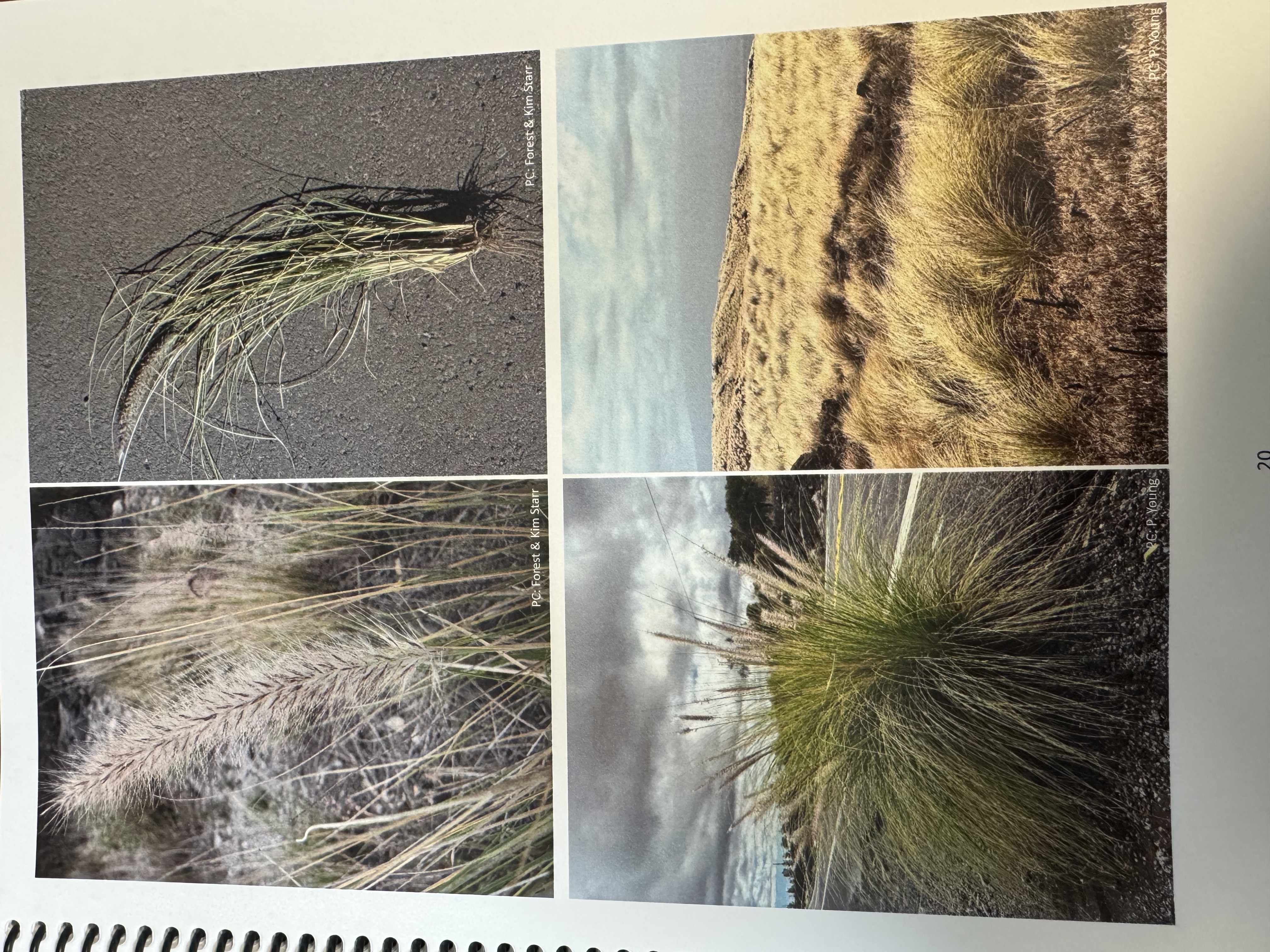 <img src="blob:null/aed59961-a18a-4c45-a03d-51a2a889bf5f"><p></p>