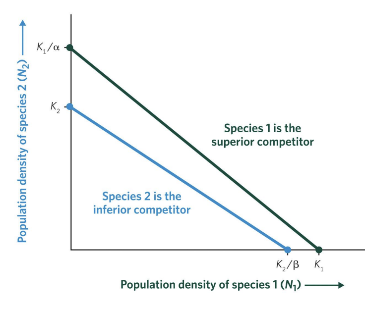 <p>what is the green line and blue line: </p>