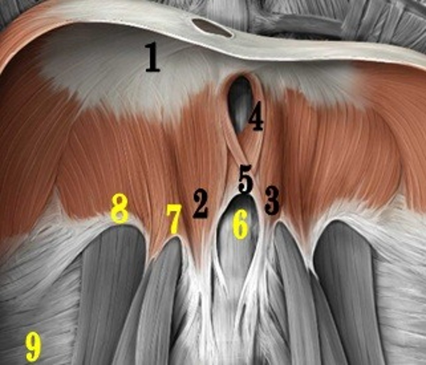 <p>ID 8 (be specific)</p>