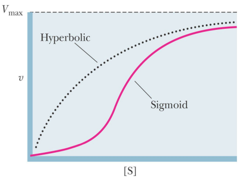 <ol><li><p>Sigmoid/S-shaped kinetics </p></li><li><p>Often show Cooperativity: Binding of S make binding of other S easier to same molecules </p></li><li><p>Cooperative substrate binding is a special case of allostery </p></li><li><p>Regulatory enzymes are oligomeric (it follows from cooperative kinetics, more than one substrate binding site)</p></li></ol><p></p>