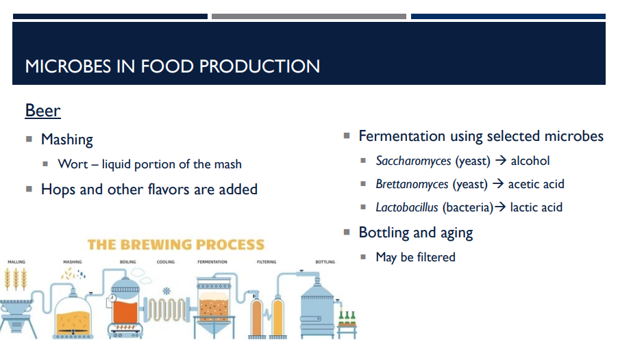 <p>Describe the steps of making beer. </p>