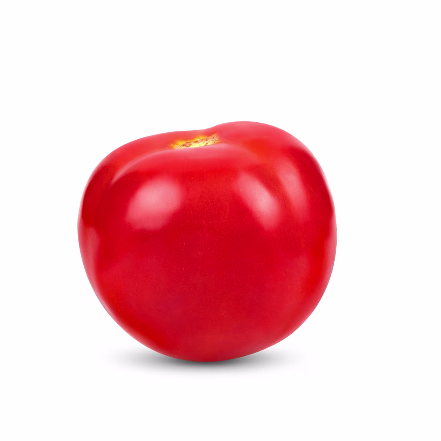 <p>Tomato</p>