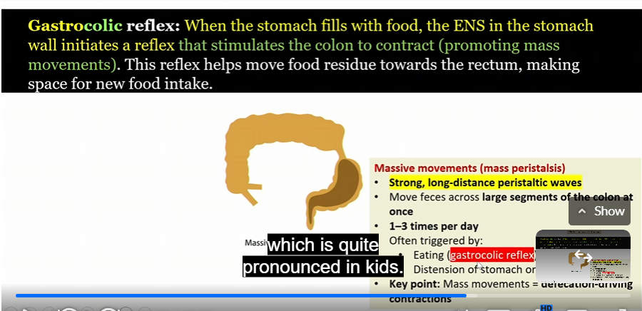 <p>stomach fills with food ENS in the stomach wall initiates a reflex that stimulates the colon to contract (promoting mass movements) this reflex helps move food residue towards the rectum, making space for new food intake</p>