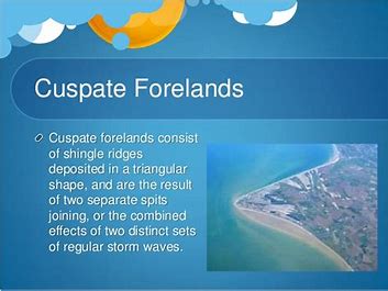 <p>Depositional landform: Cuspate Forelands</p>