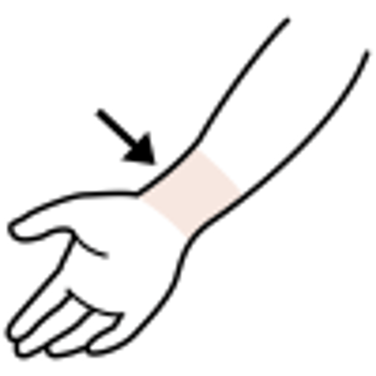 <p>wrist</p>