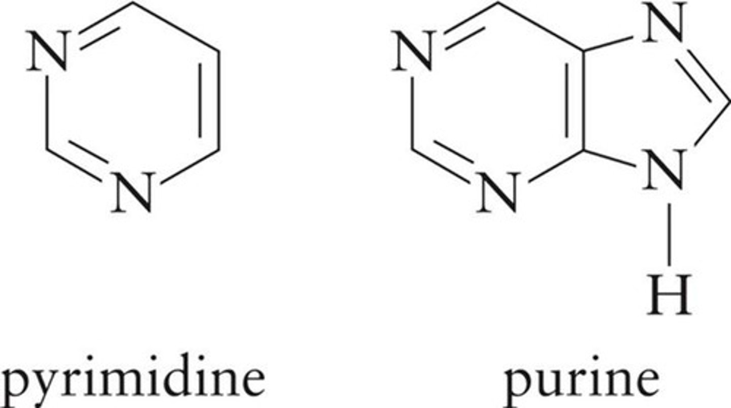 <p>Single 6-membered ring with 2 nitrogen atoms.</p>