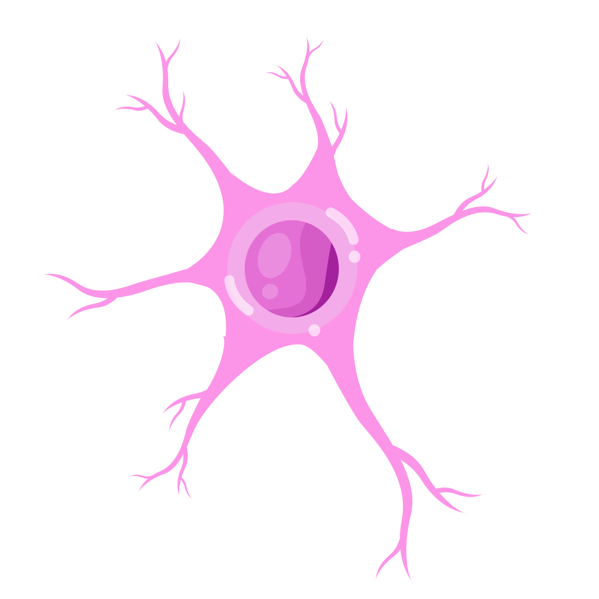 <p><span style="background-color: transparent; font-family: "DM Sans", sans-serif;"><span>Anaxonic neurons</span></span></p>