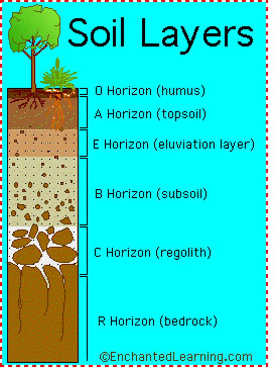 <p>- Bedrock<br>- Parent material<br>- Subsoil<br>- Topsoil<br>- Surface layer</p>