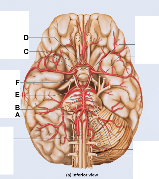 <p>Name point B.</p>