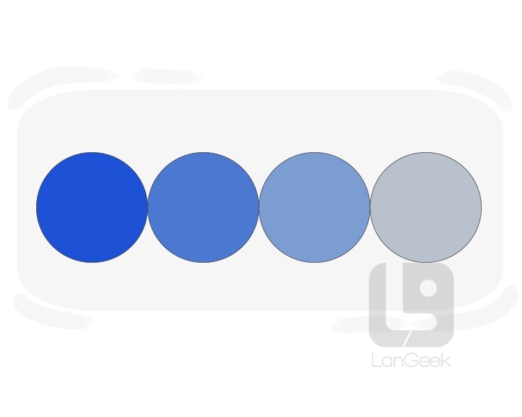 <p>any variation of one color, including darker or lighter versions</p><p><br></p>