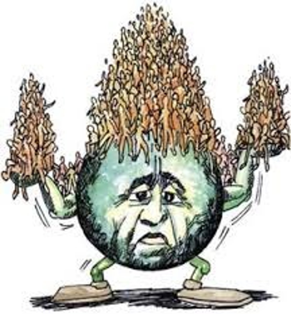 <p>overpopulation</p>