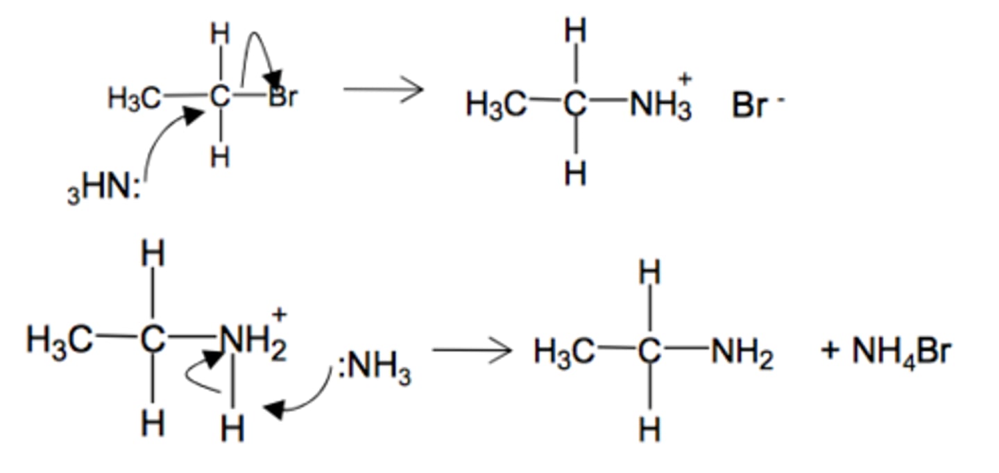 <p>Excess ammonia favours the production of primary amines, as it is less likely that another haloalkane will react with the same amine due to a large number of ammonia to react with.</p><p>Excess haloalkane favours the production of quaternary ammonium salts, as each ammonia will react with four halogenoalkane molecules.</p>