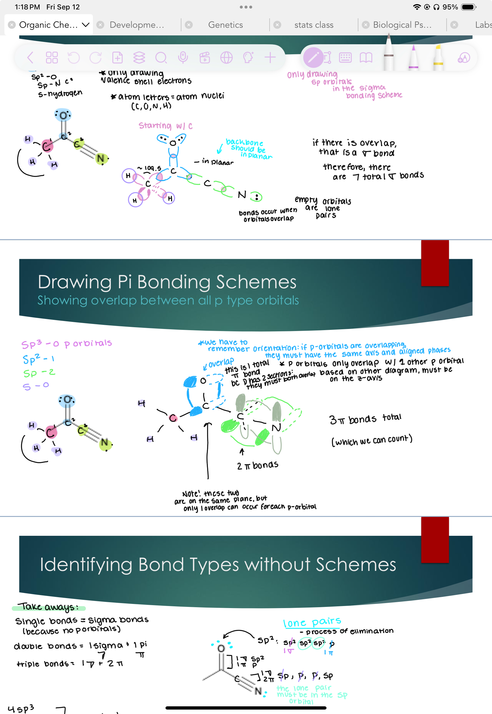<p>Showing overlap between all p type orbitals</p><p>*We have to remember orientation: if p-orbitals are overlapping, they must have the same axis and aligned phases. </p><p>*P-orbitals must only overlap w/ other p orbitals based on other diagram, must be on a diff axis. Except if they’re bonded. </p>