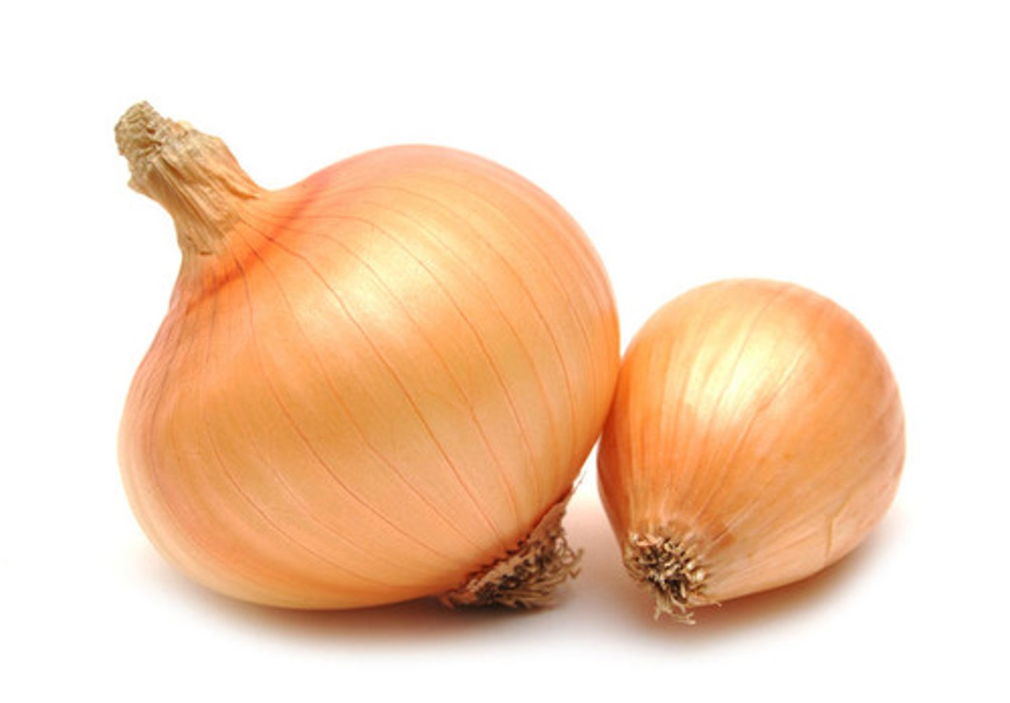 <p>onions</p>